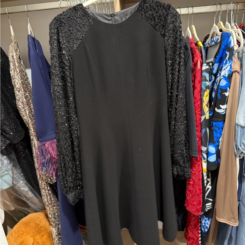 Elio Black Sequin Sleeve Women's Dress